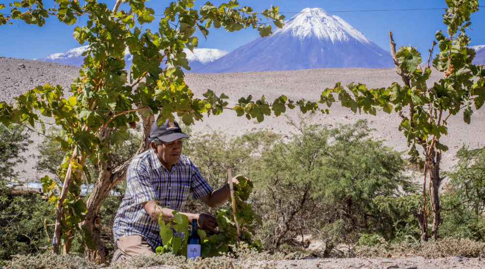 Ayllu, el sabor del desierto