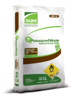 QPotassium Nitrate NPP / Grado refinado