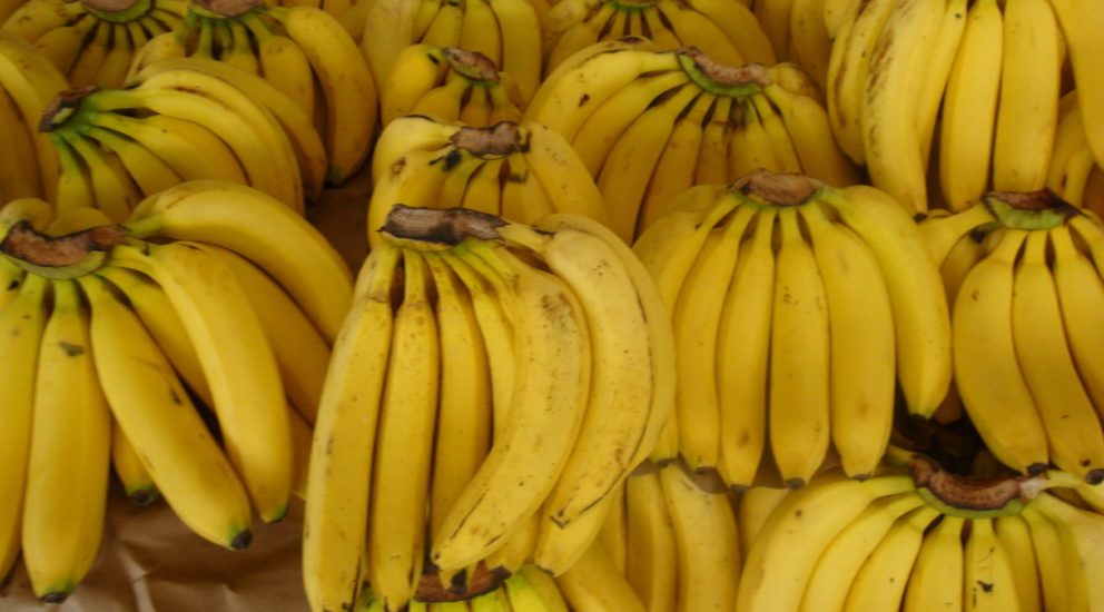 (Español) Plátano