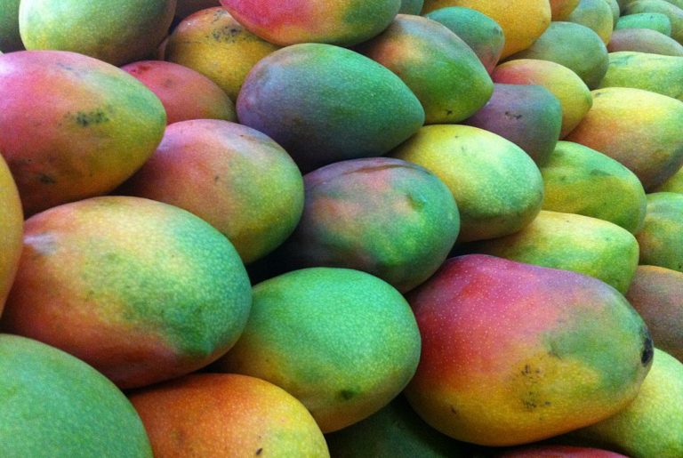 Mango