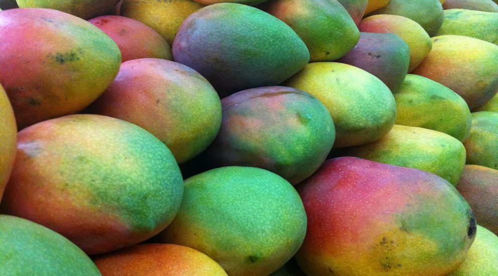 (Español) Mango