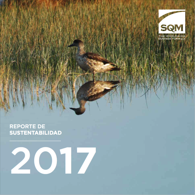 2017