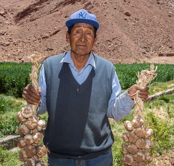 Programa Atacama Tierra Fértil de SQM potencia agricultura de Río Grande