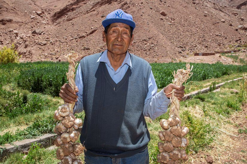 Programa Atacama Tierra Fértil de SQM potencia agricultura de Río Grande