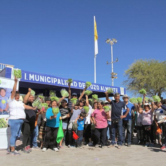 Agricultores de La Tirana celebran junto a la comunidad su primera cosecha de lechugas