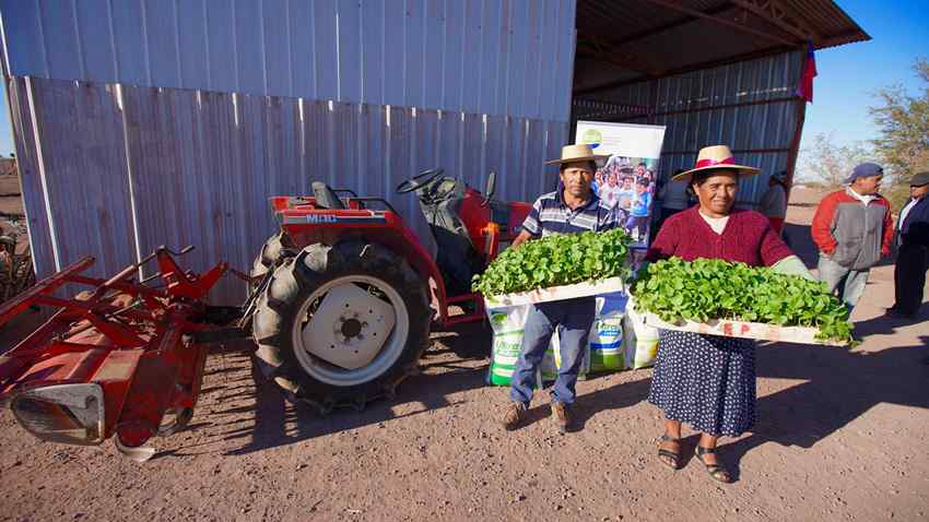 Farmers from Pintados Agricultural Colony Strengthen Local Farming