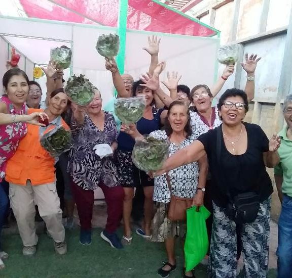 Adultos mayores de María Elena aprenden a cultivar hortalizas hidropónicas