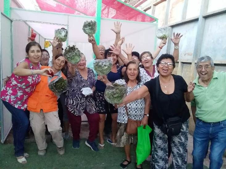 Adultos mayores de María Elena aprenden a cultivar hortalizas hidropónicas