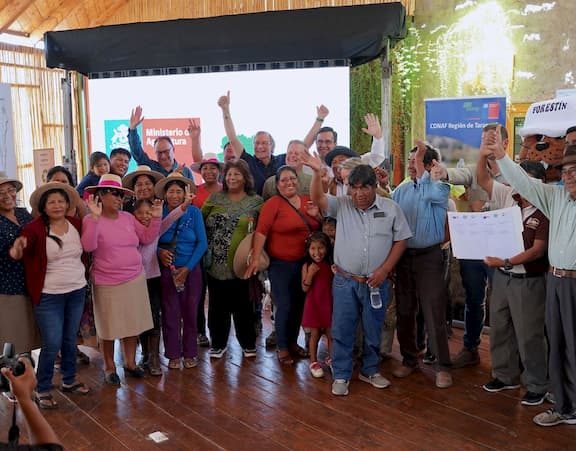 Plantarán 30 hectáreas de alfalfa para ganado de la Pampa del Tamarugal