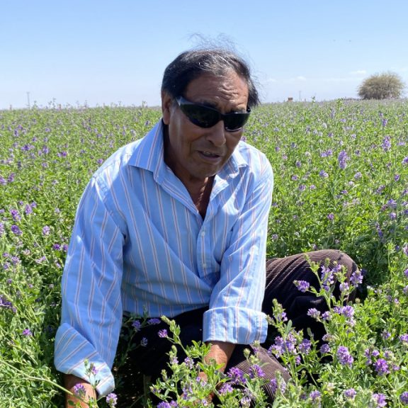 Farmers in Pintados Transform Desert into Garden