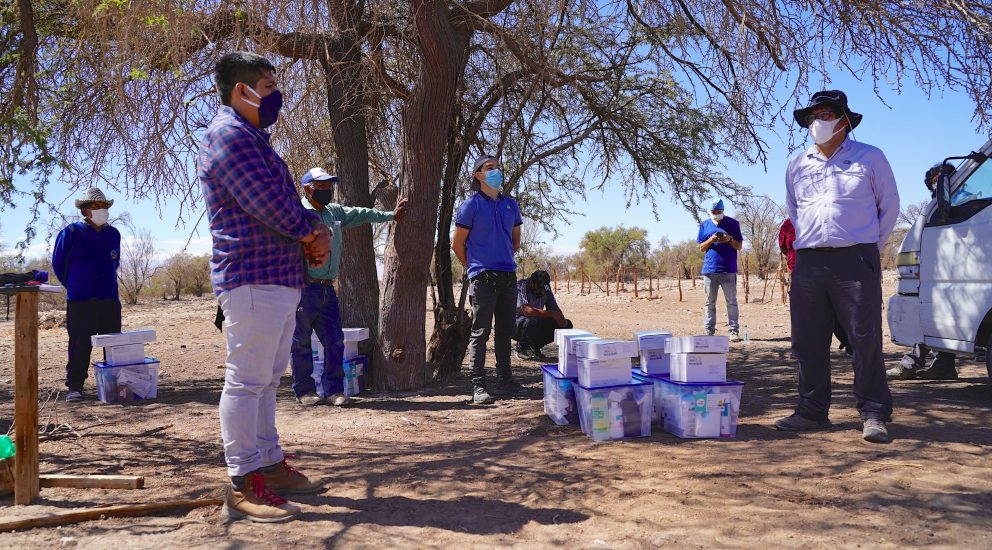 Ganaderos de la Pampa del Tamarugal recibieron máquinas trituradoras y kits veterinarios para afrontar la crisis sanitaria