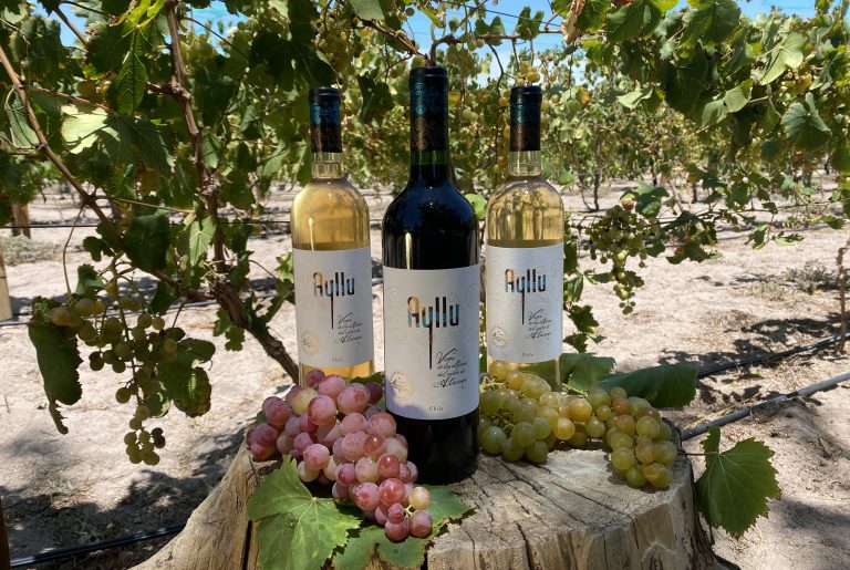 Vino Ayllu, el sabor del desierto de Atacama