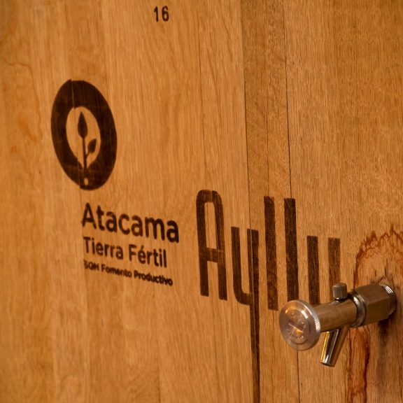 Viñateros del Salar de Atacama: Más de 10 años produciendo vino en condiciones extremas