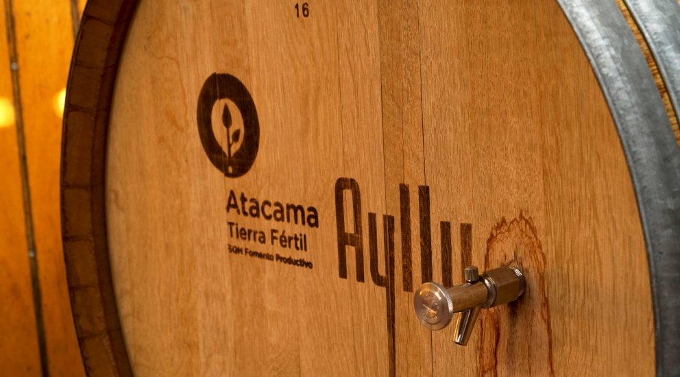 Viñateros del Salar de Atacama: Más de 10 años produciendo vino en condiciones extremas