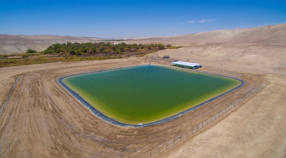 Quillagua Reservoir will provide constant supply of water to the oasis