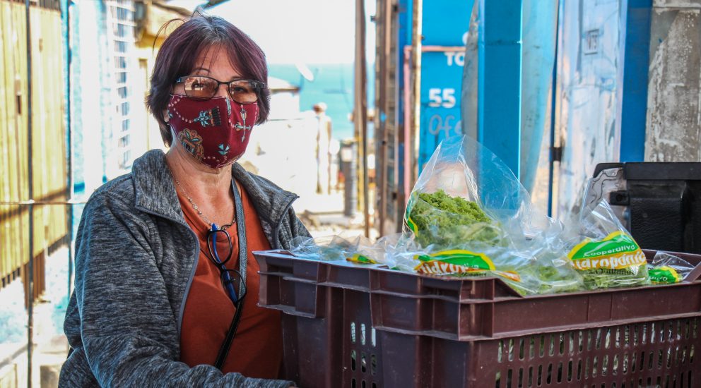 SQM’s Local Greenhouses Donates 30,000 Vegetables to the Community