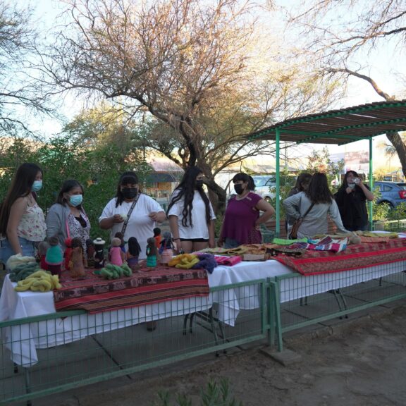 Mujeres de Quillagua celebran término de taller de telares con una exhibición de sus obras