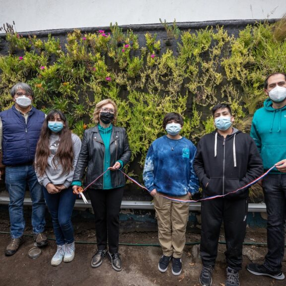 Nuevos jardines verticales para Tocopilla