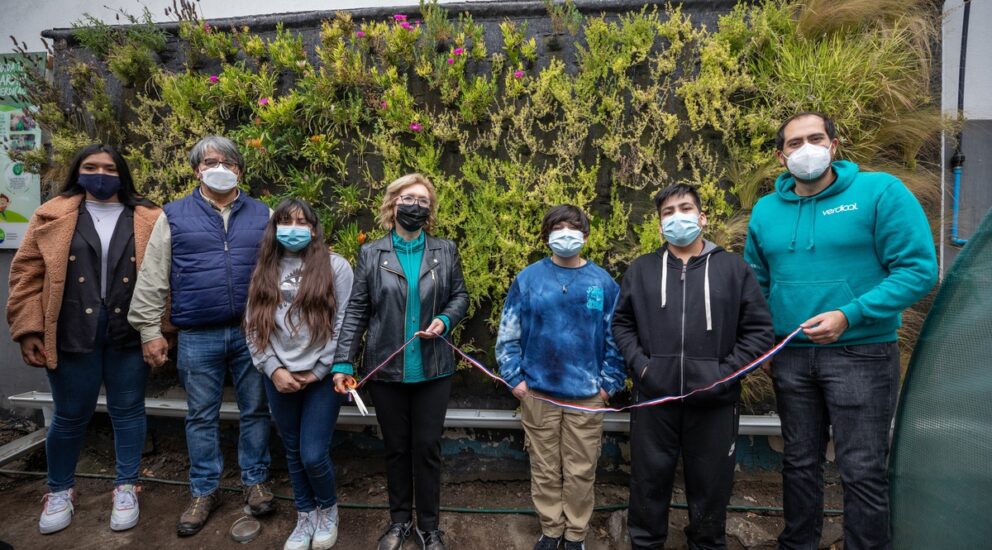 Nuevos jardines verticales para Tocopilla