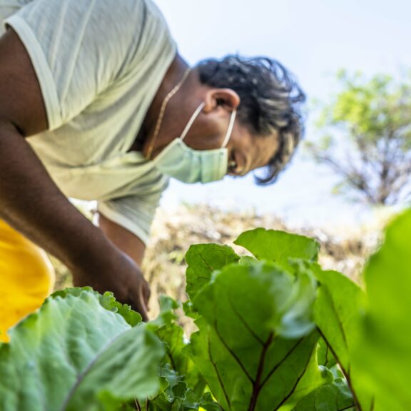 Huertos Familiares: más de 100 vecinos del Salar de Atacama cultivan sus propias hortalizas en el hogar