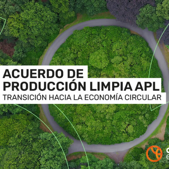 (Español) APL liderado por Acción Empresas busca acelerar la circularidad en las empresas