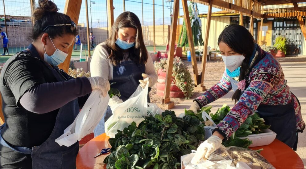 Junta de Vecinos Alto Jama celebró nueva cosecha con la entrega de hortalizas para vecinos y vecinas del sector