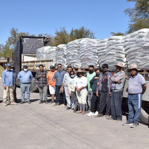 Twenty tons of animal feed donated to ranchers in Pampa del Tamarugal