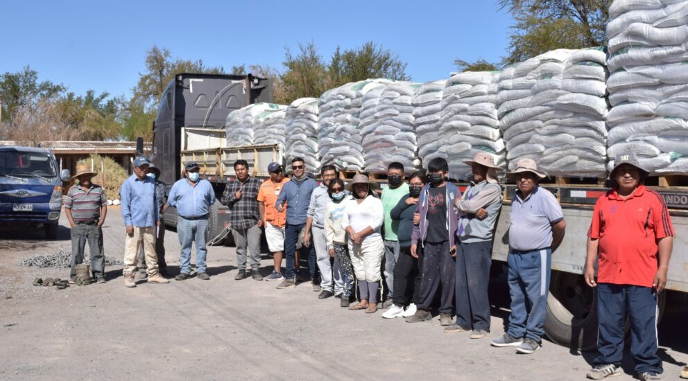 20 toneladas de alimentos animal reciben ganaderos de la Pampa de El Tamarugal