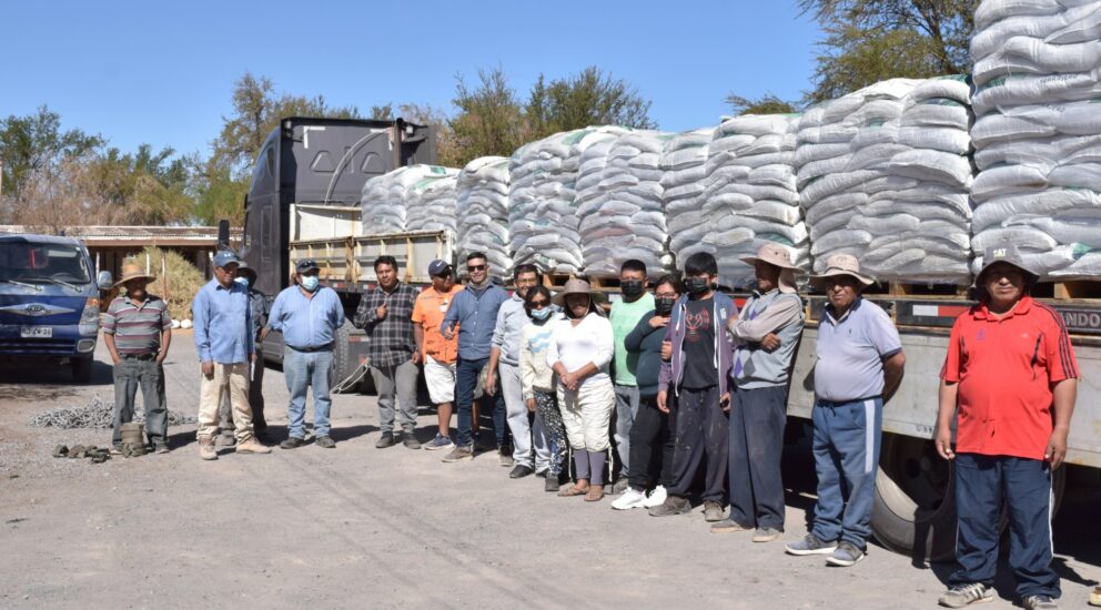 Twenty tons of animal feed donated to ranchers in Pampa del Tamarugal