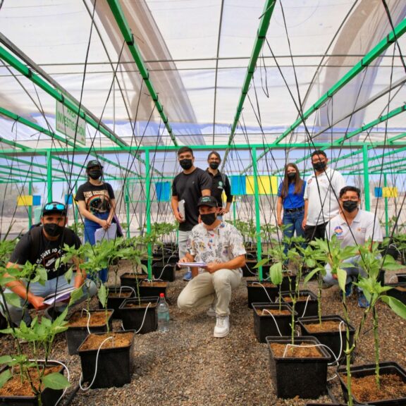 Students from UNAP’s Environmental Engineering Program participated in practical course at experimental greenhouse in La Tirana