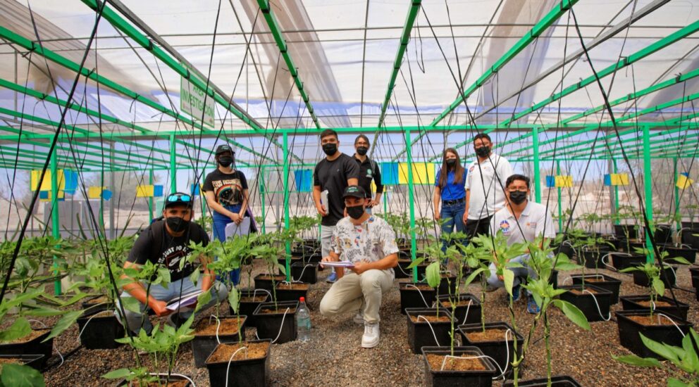 Alumnos de la carrera Civil Ambiental de UNAP realizaron asignatura práctica en invernadero experimental de La Tirana