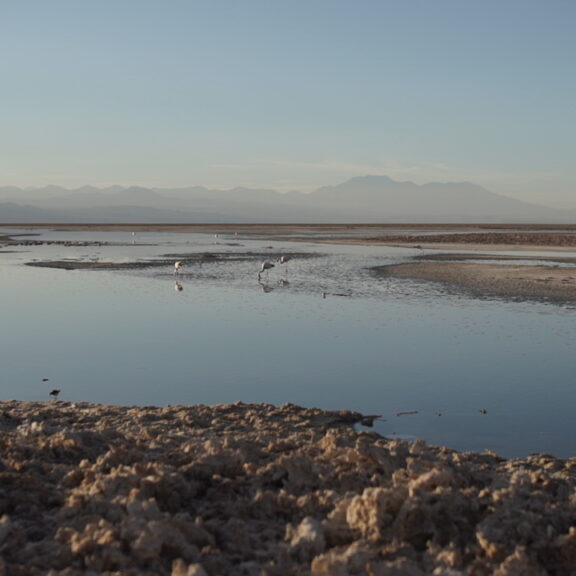 (Español) SQM forma parte de la Mesa Multiactor de la cuenca Salar de Atacama