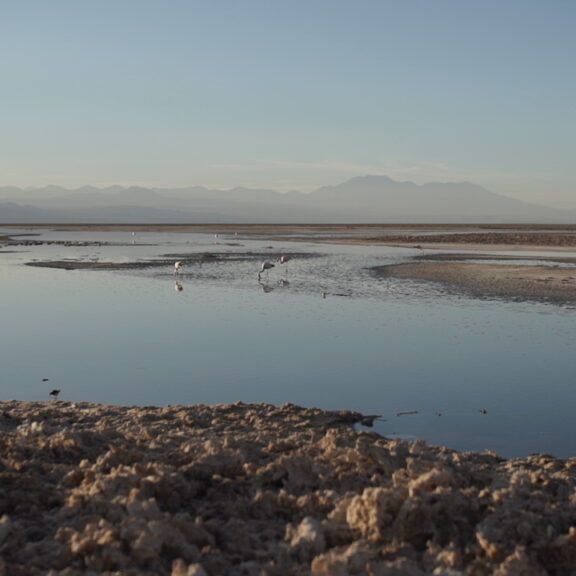 SQM forma parte de la Mesa Multiactor de la cuenca Salar de Atacama