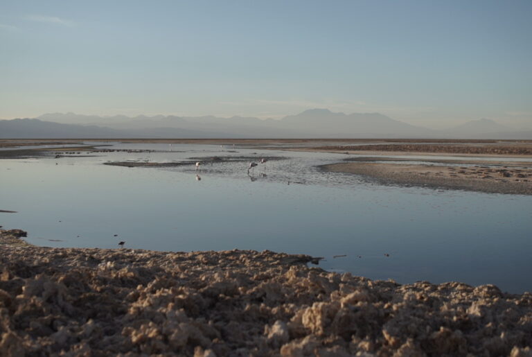 SQM forma parte de la Mesa Multiactor de la cuenca Salar de Atacama