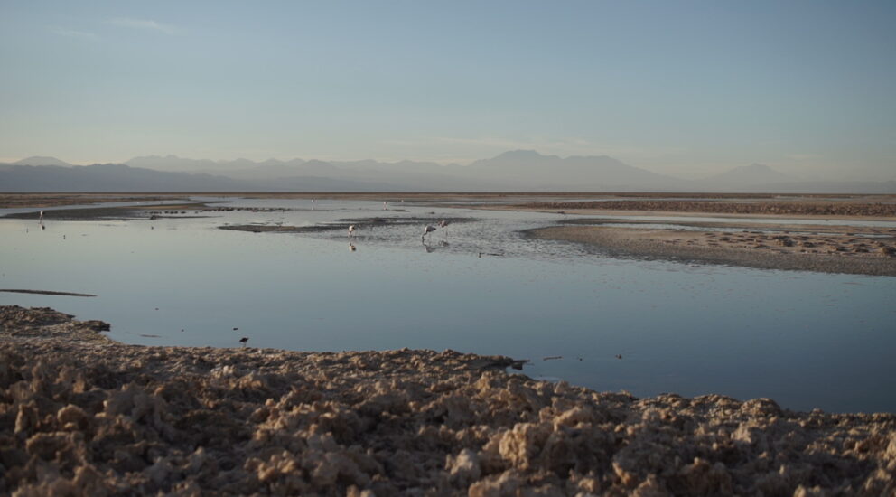 (Español) SQM forma parte de la Mesa Multiactor de la cuenca Salar de Atacama