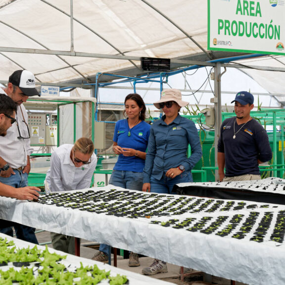 Agricultura en el Desierto: innovación y protección del planeta