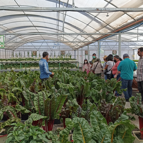 Ganaderos y agricultores del Tamarugal impulsan alimentos sustentables