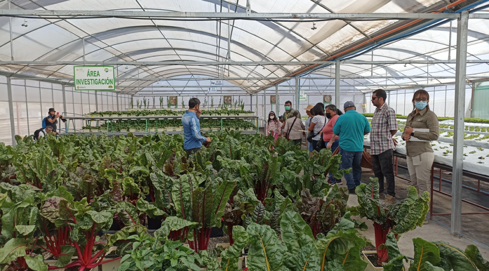 Ganaderos y agricultores del Tamarugal impulsan alimentos sustentables