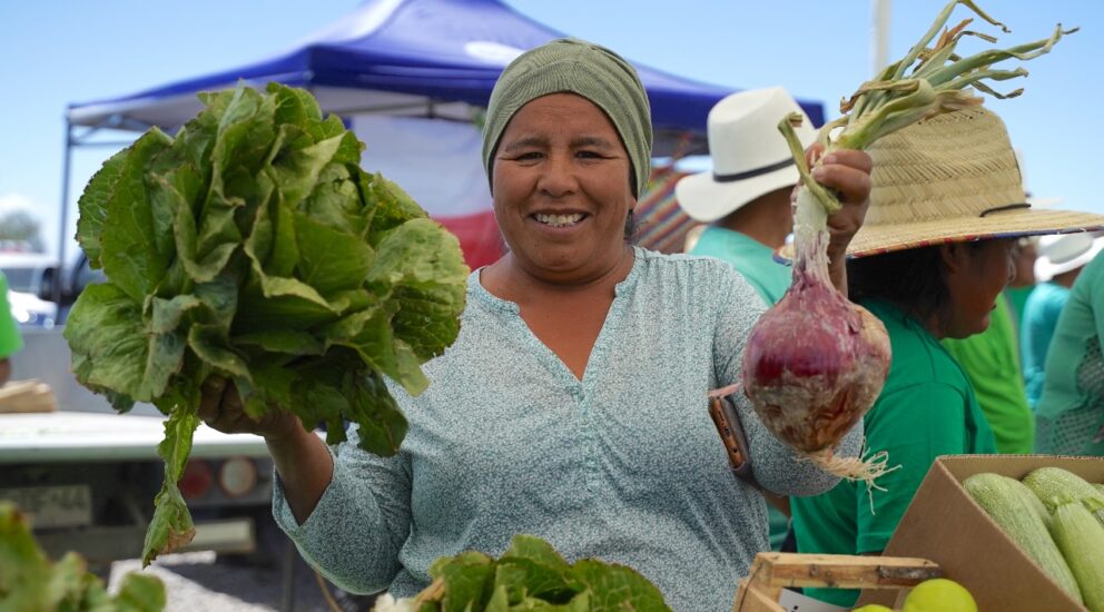 Agricultural Market, live demonstrations and presentations by national experts headline the 72nd National Agronomy Congress in Iquique