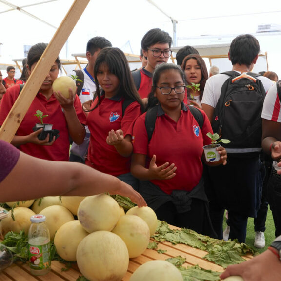 Cerca de 200 asistentes convocó el 2do Encuentro de Innovación y Emprendimiento Agropecuario en La Tirana