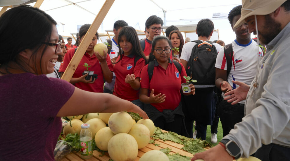 Second Innovation and Agricultural Entrepreneurship Meeting in La Tirana attracted nearly 200 attendees