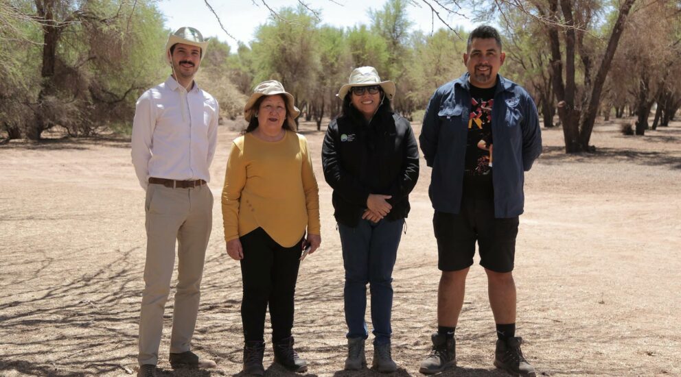 Comunidad de Cucuter y la puesta en valor del Bosque de Tamarugos